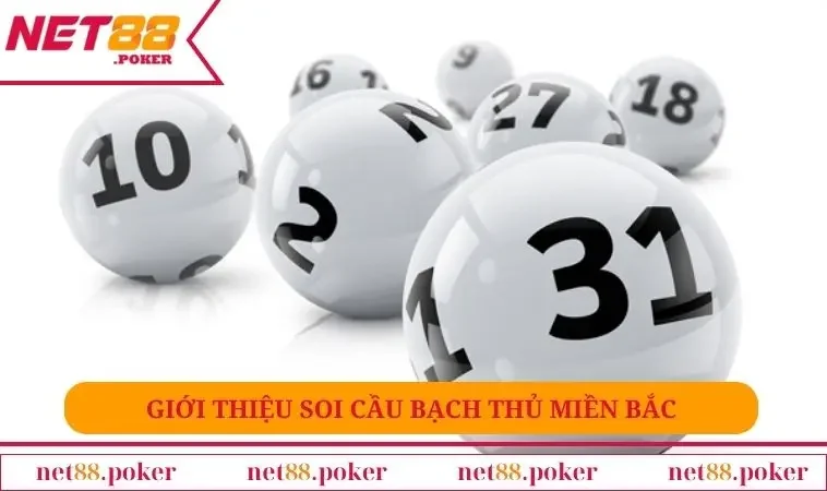 Soi Cầu Bạch Thủ Miền Bắc - Dự Đoán Chuẩn Xác Nhất 1 Giới thiệu soi cầu bạch thủ miền bắc